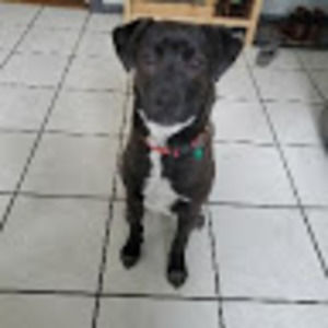 Meet your Posher, Maximilian